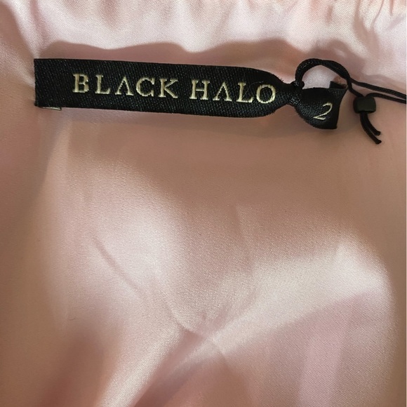 Black Halo Midi Dress Size 2 Pink NWT  Fit and Flare Capsule Wardrobe Classic - Picture 10 of 10